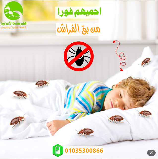 مكافحة بق الفراش - الشركه الالمانيه الاصليه